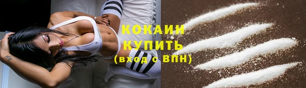 шишки Наволоки
