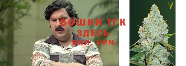 шишки Наволоки
