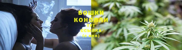 шишки Наволоки