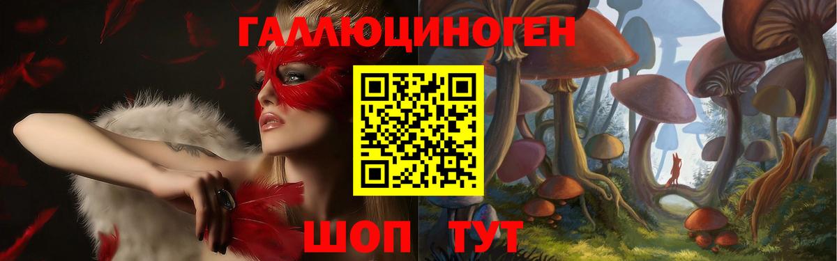Галлюциногенные грибы GOLDEN TEACHER Абинск